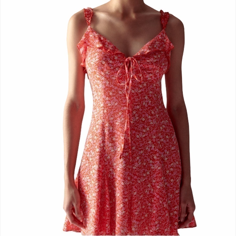 Zara Floral Print Dress Small